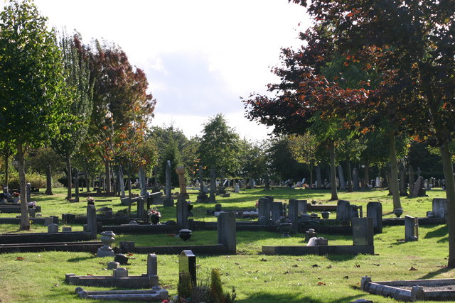 image of a cemetery with headstones and trees