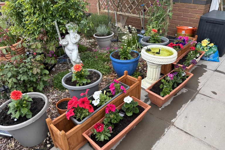 photo of garden pots with flowers
