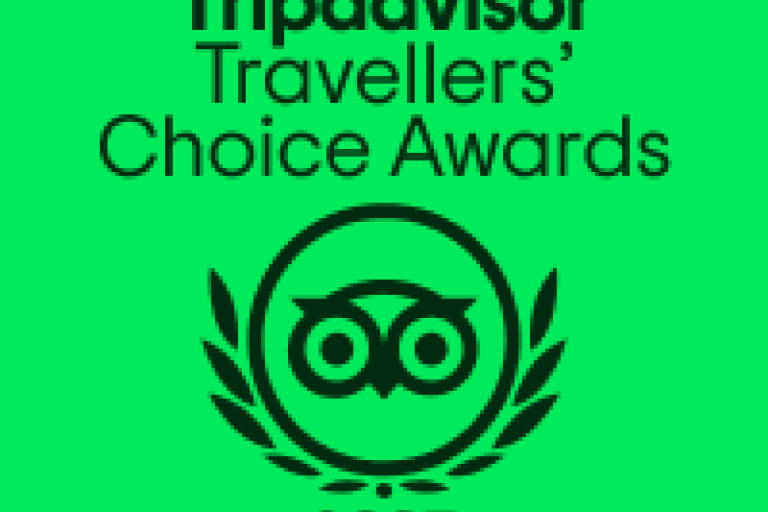 Green Tripadvisor award logo