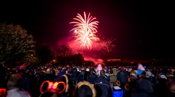 photo of a red firework explosion with a crowd watching from the ground and a tree on the left of the image