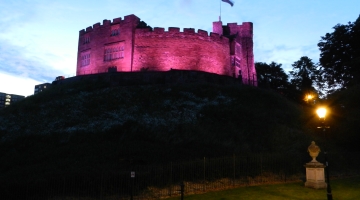 castle lit purple