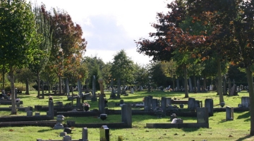 image of a cemetery with headstones and trees