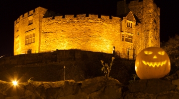 castle with yellow lighting and pumpkin